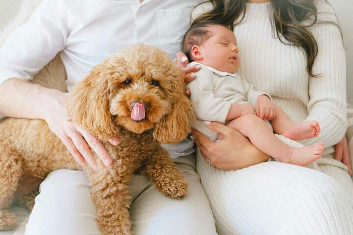 Lincoln Natural Newborn Lifetsyle Photography